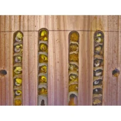 Solitaire Bijenkast In Hout - Educatief -Aanbiedingen Intieme Eden Winkel solitaire bijen kast 1484053464 4 600