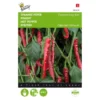 Spaanse Peper Cayenna - Capsicum Annuum -Aanbiedingen Intieme Eden Winkel spaanse peper cayenna capsicum annuum 1646840317 131 600