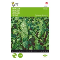 Spinazie Nores 15 G - Spinacia Oleracea