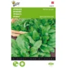 Spinazie Winterreuzen 15 G - Spinacia Oleracea