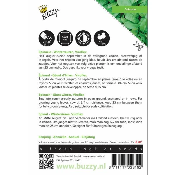 Spinazie Winterreuzen 15 G - Spinacia Oleracea 4 Spinazie Winterreuzen 15 G - Spinacia Oleracea - Afbeelding 2