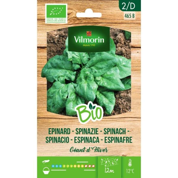 Spinazie Winterreuzen BIO 3 Spinazie Winterreuzen BIO