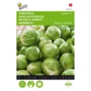 Spruitkool Topline F1 Hybride - Brassica Oleracea -Aanbiedingen Intieme Eden Winkel spruitkool topline f1 hybride brassica oleracea 1646840316 115 600