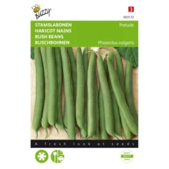 Stamslabonen (Prelude 30 G)
