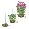 Steunringen Voor Planten Ø 30 Cm - Kunststof - Set Van 2 Stuks -Aanbiedingen Intieme Eden Winkel steunringen 1490175532 1 600