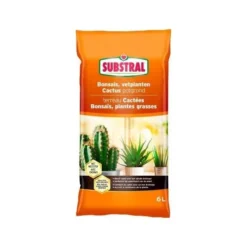 Substral Potgrond Voor Cactus, Bonsai En Vetplanten - 6 Liter