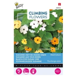 Suzanne Met De Mooie Ogen - Thunbergia Alata (klimmer)