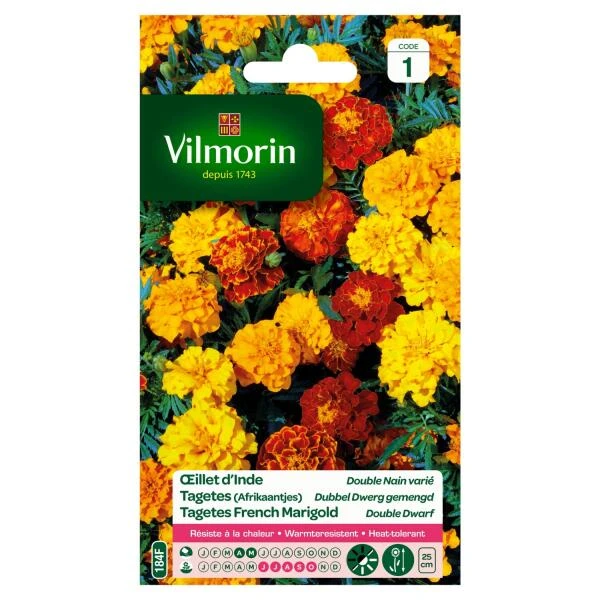 Tagetes Dubbel Dwerg Gemengd - Tagetes Patula 3 Tagetes Dubbel Dwerg Gemengd - Tagetes Patula
