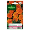 Tagetes Globe Orange - Tagetes Patula 1 Tagetes Globe Orange - Tagetes Patula -Aanbiedingen Intieme Eden Winkel tagetes globe orange tagetes patula 1646839548 246 600
