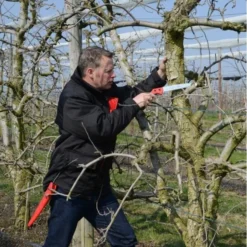 Takkenzaag Felco 611 - Recht + Draagholster Met Clipsysteem -Aanbiedingen Intieme Eden Winkel takkenzaag felco 611 recht 1517236499 1 600