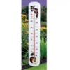Muurthermometer Fruit -Aanbiedingen Intieme Eden Winkel thermometer fruit 1484057366 1 600