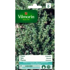 Tijm - Thymus Vulgaris