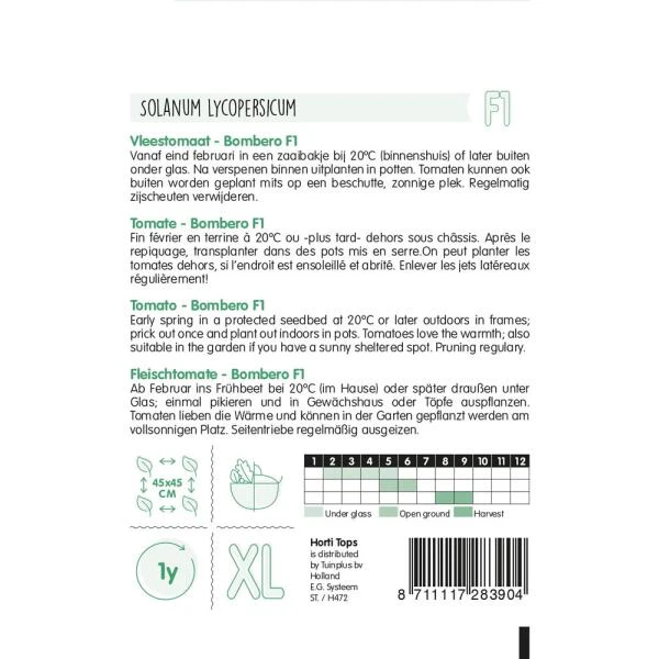 Tomaat Bombero F1 (Maestro) - Solanum Lycopersicum L. 4 Tomaat Bombero F1 (Maestro) - Solanum Lycopersicum L. - Afbeelding 2