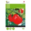 Tomaten Pyros F1 - Lycopersicon Esculentum -Aanbiedingen Intieme Eden Winkel tomaten pyros f1 lycopersicon esculentum 1646840321 229 600
