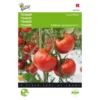 Tomaten St. Pierre - Lycopersicon Esculentum -Aanbiedingen Intieme Eden Winkel tomaten st pierre lycopersicon esculentum 1646840322 245 600