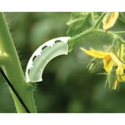Tomaten Trossteun Wit - Set Van 100 Stuks -Aanbiedingen Intieme Eden Winkel tomatentrossteunen 1484056718 2 600