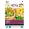 Tomatillo - Aardkers (Exoot) Physalis Ixocarpa 2 Tomatillo - Aardkers (Exoot) Physalis Ixocarpa -Aanbiedingen Intieme Eden Winkel tomatillo aardkers exoot physalis ixocarpa 1646840337 565 600