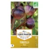 Tomatillo Violet - Physalis Ixocarpa -Aanbiedingen Intieme Eden Winkel tomatillo violet 1484067107 1 600