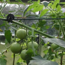 Tree-fix Boombinder 8 Cm - Set Van 50 Stuks -Aanbiedingen Intieme Eden Winkel treefix boombinder 8 cm 1547125995 3 600