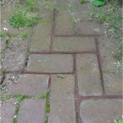 Tuinbezem - Borstel Golden Krav + Voegenkrabber 2 In 1 -Aanbiedingen Intieme Eden Winkel tuinbezem voegenkrabber 2 in 1 1492499904 1 600