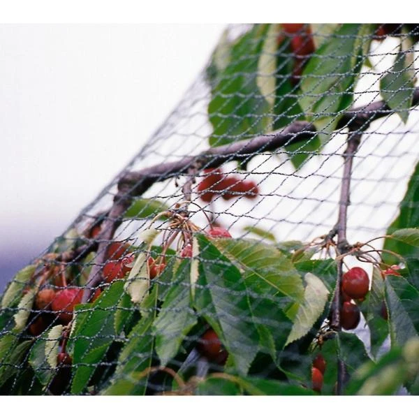 Tuinnet Grofmazig 4 M × 10 M 3 Tuinnet Grofmazig 4 M × 10 M