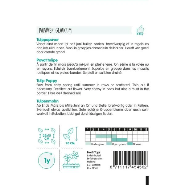 Tulppapaver - Papaver Glauca 4 Tulppapaver - Papaver Glauca - Afbeelding 2