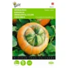 Turkse Muts - Cucurbita Maxima Turbaniformis 2 Turkse Muts - Cucurbita Maxima Turbaniformis -Aanbiedingen Intieme Eden Winkel turkse muts cucurbita maxima turbaniformis 1646840326 341 600