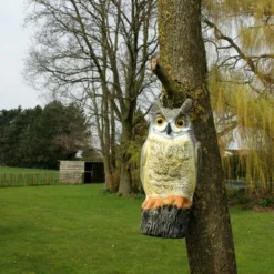 Uil Front - Vogelverschrikker -Aanbiedingen Intieme Eden Winkel uil front vogelverschrikker 1523282297 1 600