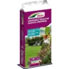 DCM Universele Meststof - 10 Kg -Aanbiedingen Intieme Eden Winkel universele meststof dcm 10 kg minigran 1521805860 1 600