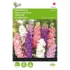 Valse Ridderspoor - Delphinium Ajacis 2 Valse Ridderspoor - Delphinium Ajacis -Aanbiedingen Intieme Eden Winkel valse ridderspoor delphinium ajacis 1646840326 343 600