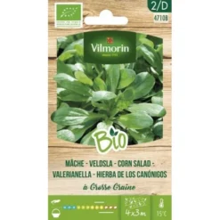 Veldsla Grosse Graine BIO