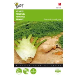 Venkel De Florence - Foeniculum Vulgare