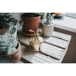 Vernevelaar Haws - Goudkleurig 5 Vernevelaar Haws - Goudkleurig -Aanbiedingen Intieme Eden Winkel vernevelaar haws goudkleurig 1653645312 1 600