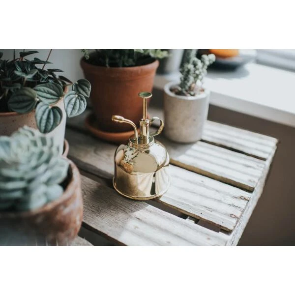 Vernevelaar Haws - Goudkleurig 4 Vernevelaar Haws - Goudkleurig - Afbeelding 2