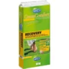Viano Gazonmeststof Recovery 10kg 1 Viano Gazonmeststof Recovery 10kg -Aanbiedingen Intieme Eden Winkel viano gazonmeststof recovery 10kg 1552418117 1 600