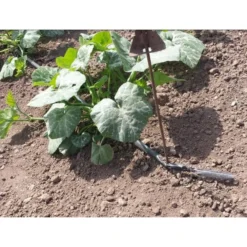 Vloeidarm Rol 250 Meter -Aanbiedingen Intieme Eden Winkel vloeidarm rol 250 meter 1532606530 2 600