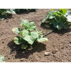 Vloeidarm Rol 250 Meter -Aanbiedingen Intieme Eden Winkel vloeidarm rol 250 meter 1532606530 3 600