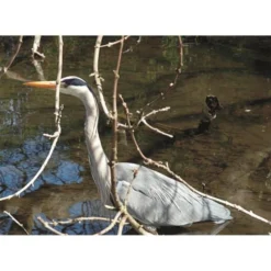 Vogelafschrik Vlaggen - Set Van 3 Stuks -Aanbiedingen Intieme Eden Winkel vogelafschrik vlaggen 1541778804 1 600