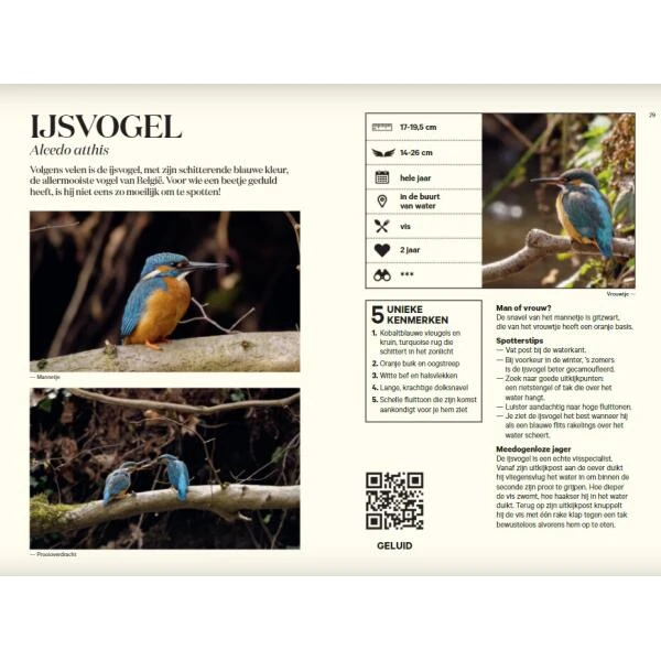 Vogelgids Onze Natuur 4 Vogelgids Onze Natuur - Afbeelding 2