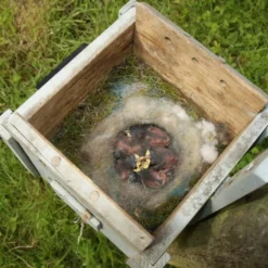 Nestkast + Voederhuis - Multiholk Grey Cottage 9 Nestkast + Voederhuis - Multiholk Grey Cottage -Aanbiedingen Intieme Eden Winkel vogelhuis voederhuis grijs 1510052145 1 600