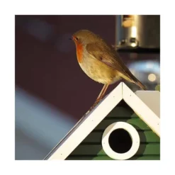 Nestkast + Voederhuis - Multiholk Green Cottage -Aanbiedingen Intieme Eden Winkel vogelhuis voederhuis groen 1672144539 2 600