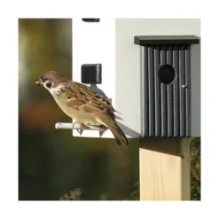 Nestkast + Voederhuis - Multiholk Functional House 11 Nestkast + Voederhuis - Multiholk Functional House -Aanbiedingen Intieme Eden Winkel vogelhuis voederhuis modern 1672144878 2 600