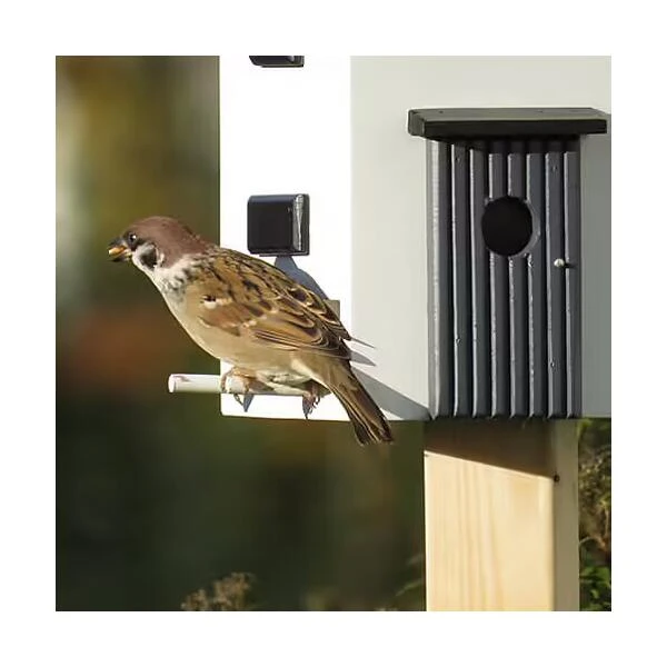 Nestkast + Voederhuis - Multiholk Functional House 6 Nestkast + Voederhuis - Multiholk Functional House - Afbeelding 4