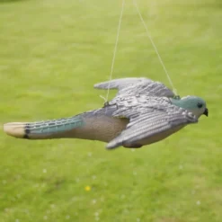 Torenvalk Als Vogelschrik -Aanbiedingen Intieme Eden Winkel vogelverjager torenvalk 1492582163 3 600