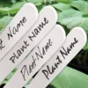 Waterbestendige Stift Zwart Voor Plantenlabels -Aanbiedingen Intieme Eden Winkel waterbestendige stift zwart 1484062288 2 600
