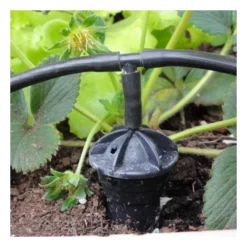 Watergeefsysteem Met 20 Druppelaars