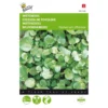 Waterkers - Nasturtium Officinalis -Aanbiedingen Intieme Eden Winkel waterkers nasturtium officinalis 1646840314 65 600