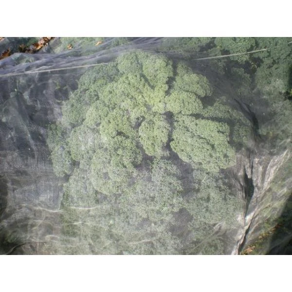 Insectengaas 5 × 1,4 M 4 Insectengaas 5 × 1,4 M - Afbeelding 2