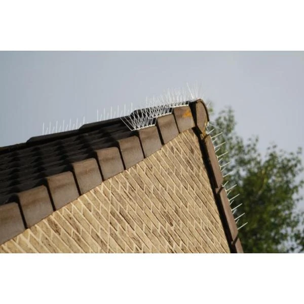 Transparante Weringspinnen Duiven, Kraaien,... - 200 Cm 5 Transparante Weringspinnen Duiven, Kraaien,... - 200 Cm - Afbeelding 3