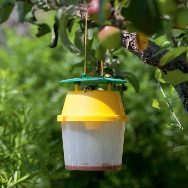 Wespenval Vangbeker 3 Wespenval Vangbeker